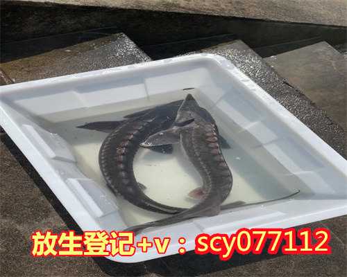 大连哪里可以放生王八，山东女孩父亲去世后背瘫痪妈在大连求学