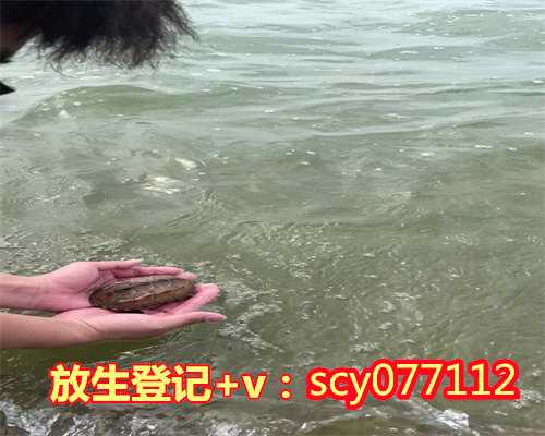 天津市内放生地方，天津善缘慈善会成立暖心艺术团