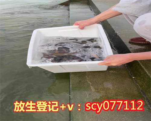 大连哪里可以放生鸟呢，大连市宗教局清明期间引导信众绿色文明安全祭祀