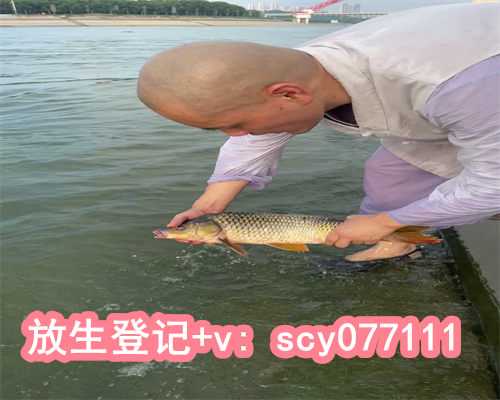 广州放生方法，螃蟹能否放生水池
